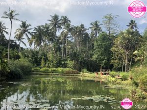 MadeinMycountry MadeinMycountryIndia India Kerala