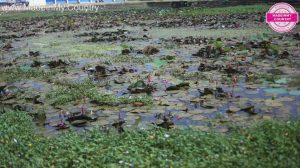 MadeinMycountryIndia MadeinMycountry India Asia